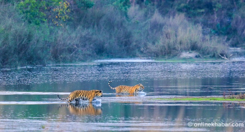 Bardiya National Park